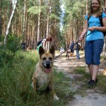 hw400054-150x150 2. Tierheim-Hundewanderung 2013
