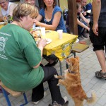 hw400065-150x150 2. Tierheim-Hundewanderung 2013