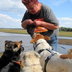 hw400067-150x150 2. Tierheim-Hundewanderung 2013