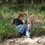 hw400073-150x150 2. Tierheim-Hundewanderung 2013