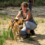 hw400074-150x150 2. Tierheim-Hundewanderung 2013