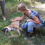 hw400075-150x150 2. Tierheim-Hundewanderung 2013