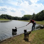 hw400079-150x150 2. Tierheim-Hundewanderung 2013