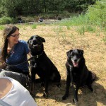 hw400082-150x150 2. Tierheim-Hundewanderung 2013