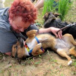 hw400084-150x150 2. Tierheim-Hundewanderung 2013