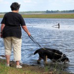 hw400089-150x150 2. Tierheim-Hundewanderung 2013