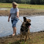 hw400096-150x150 2. Tierheim-Hundewanderung 2013