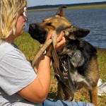 hw400097-150x150 2. Tierheim-Hundewanderung 2013