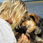 hw400098-150x150 2. Tierheim-Hundewanderung 2013