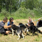 hw400101-150x150 2. Tierheim-Hundewanderung 2013