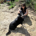 hw400102-150x150 2. Tierheim-Hundewanderung 2013