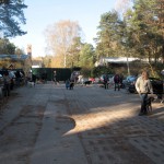 hw500001-150x150 3. Tierheim-Hundewanderung 2013