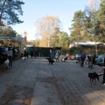 hw500002-150x150 3. Tierheim-Hundewanderung 2013