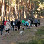 hw500003-150x150 3. Tierheim-Hundewanderung 2013