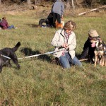 hw500004-150x150 3. Tierheim-Hundewanderung 2013