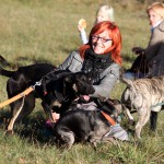 hw500005-150x150 3. Tierheim-Hundewanderung 2013