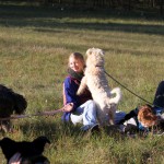 hw500006-150x150 3. Tierheim-Hundewanderung 2013