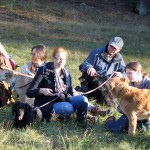 hw500007-150x150 3. Tierheim-Hundewanderung 2013