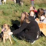 hw500008-150x150 3. Tierheim-Hundewanderung 2013