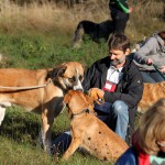 hw500009-150x150 3. Tierheim-Hundewanderung 2013