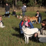 hw500011-150x150 3. Tierheim-Hundewanderung 2013