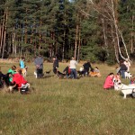 hw500013-150x150 3. Tierheim-Hundewanderung 2013