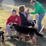 hw500018-150x150 3. Tierheim-Hundewanderung 2013
