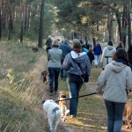 hw500019-150x150 3. Tierheim-Hundewanderung 2013