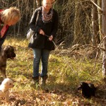 hw500021-150x150 3. Tierheim-Hundewanderung 2013