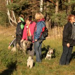hw500025-150x150 3. Tierheim-Hundewanderung 2013
