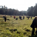 hw500027-150x150 3. Tierheim-Hundewanderung 2013