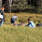 hw500029-150x150 3. Tierheim-Hundewanderung 2013