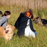 hw500031-150x150 3. Tierheim-Hundewanderung 2013