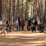hw500032-150x150 3. Tierheim-Hundewanderung 2013