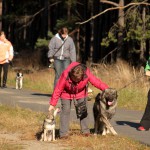 hw500033-150x150 3. Tierheim-Hundewanderung 2013