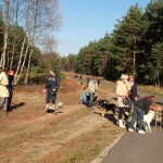hw500035-150x150 3. Tierheim-Hundewanderung 2013