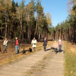 hw500037-150x150 3. Tierheim-Hundewanderung 2013