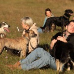 hw500040-150x150 3. Tierheim-Hundewanderung 2013