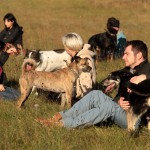 hw500041-150x150 3. Tierheim-Hundewanderung 2013