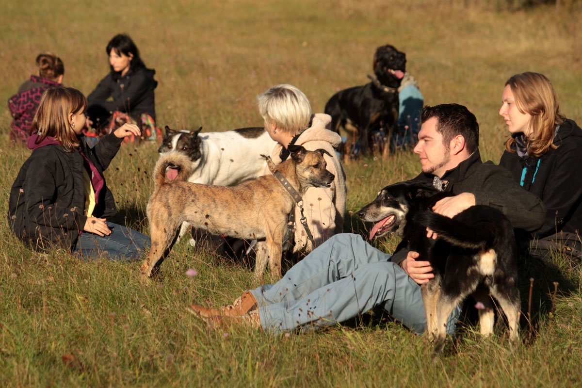 Hundevermittlung im Tierheim Tierschutzliga Stiftung