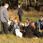 hw500042-150x150 3. Tierheim-Hundewanderung 2013