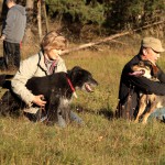 hw500043-150x150 3. Tierheim-Hundewanderung 2013