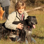 hw500045-150x150 3. Tierheim-Hundewanderung 2013