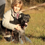 hw500046-150x150 3. Tierheim-Hundewanderung 2013