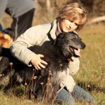 hw500047-150x150 3. Tierheim-Hundewanderung 2013