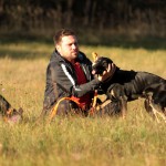 hw500048-150x150 3. Tierheim-Hundewanderung 2013