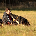 hw500049-150x150 3. Tierheim-Hundewanderung 2013