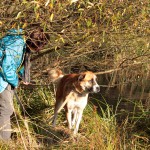 hw500055-150x150 3. Tierheim-Hundewanderung 2013