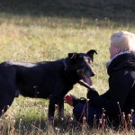 hw500058-150x150 3. Tierheim-Hundewanderung 2013