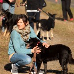 hw500065-150x150 3. Tierheim-Hundewanderung 2013